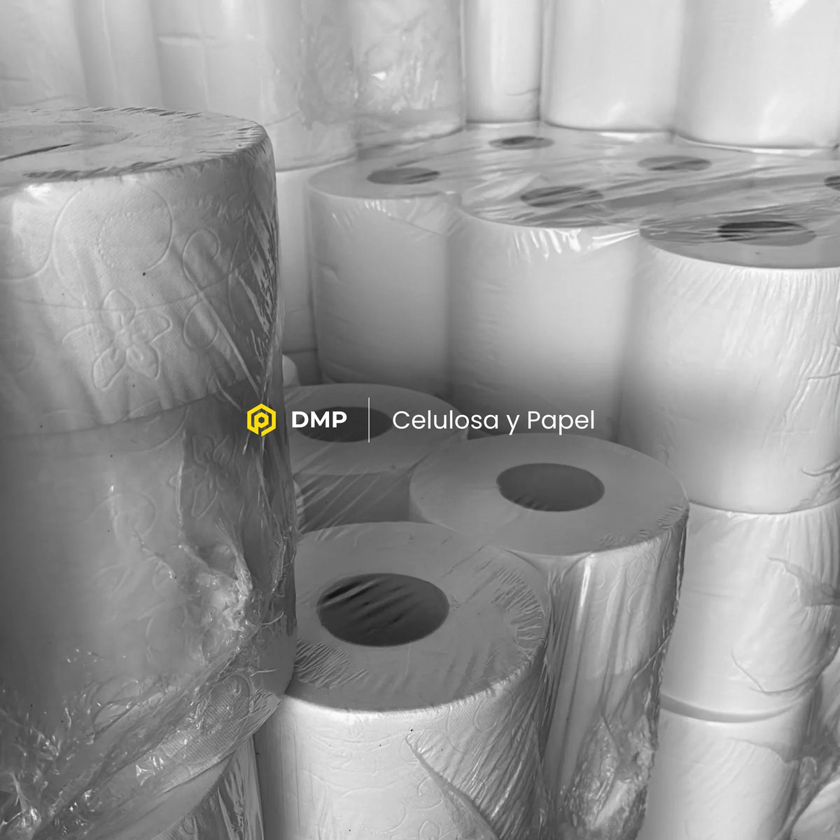 Composición de diferentes productos de celulosa y papel profesional comercializados por DMP para empresas, negocios y particulares en Gran Canaria.