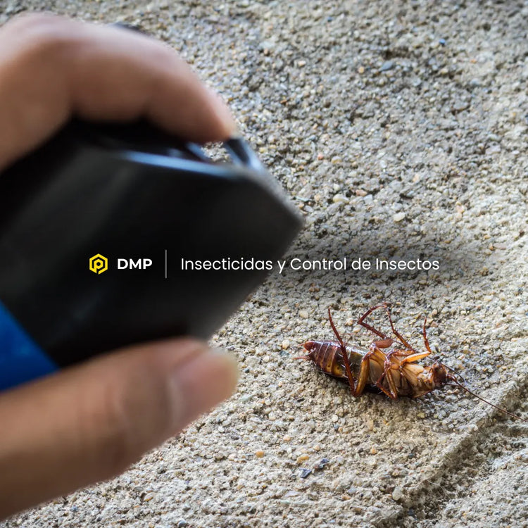 Insecticidas y productos para el control de insectos en Gran Canaria, con soluciones contra moscas, mosquitos y otros insectos.
