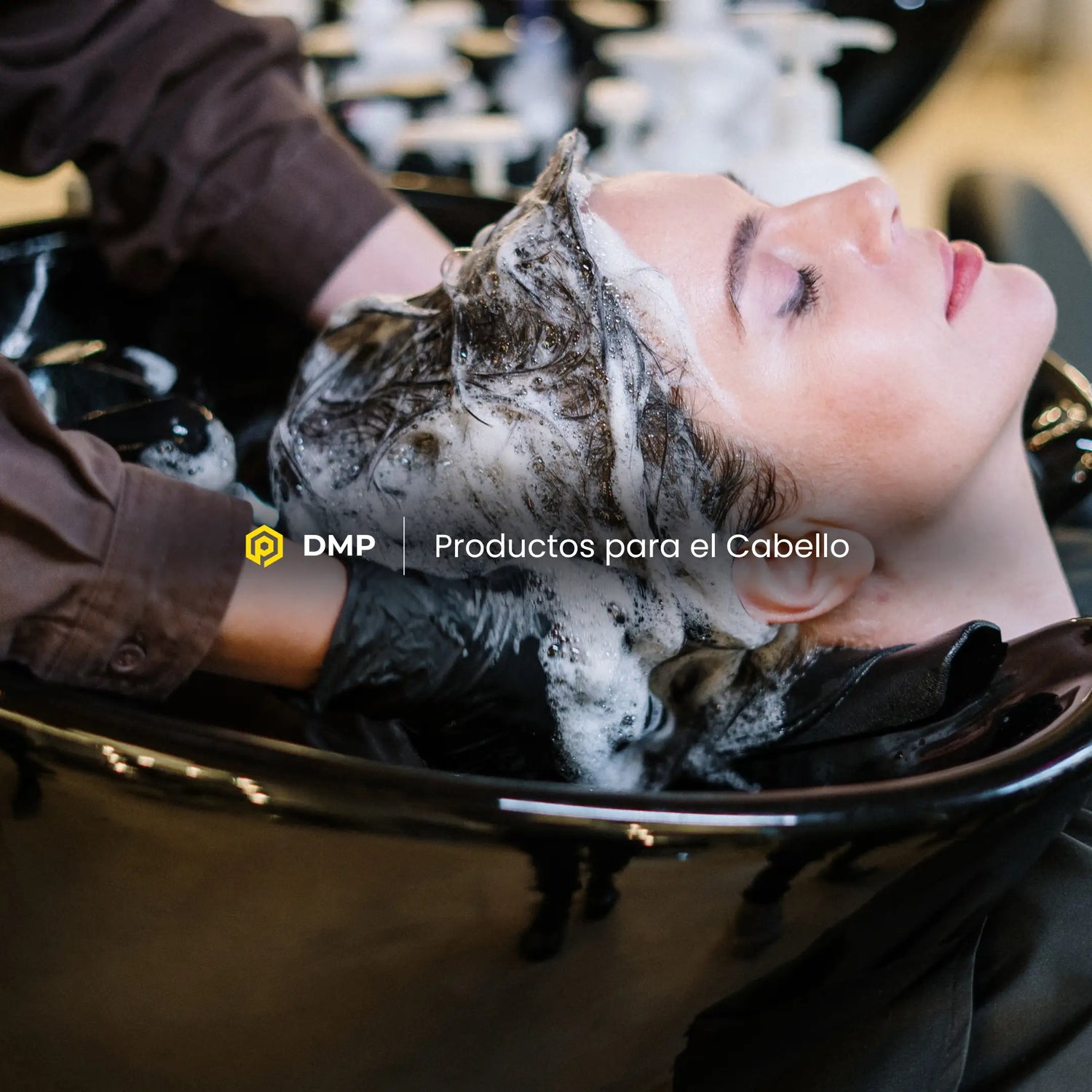 Productos para el Cabello