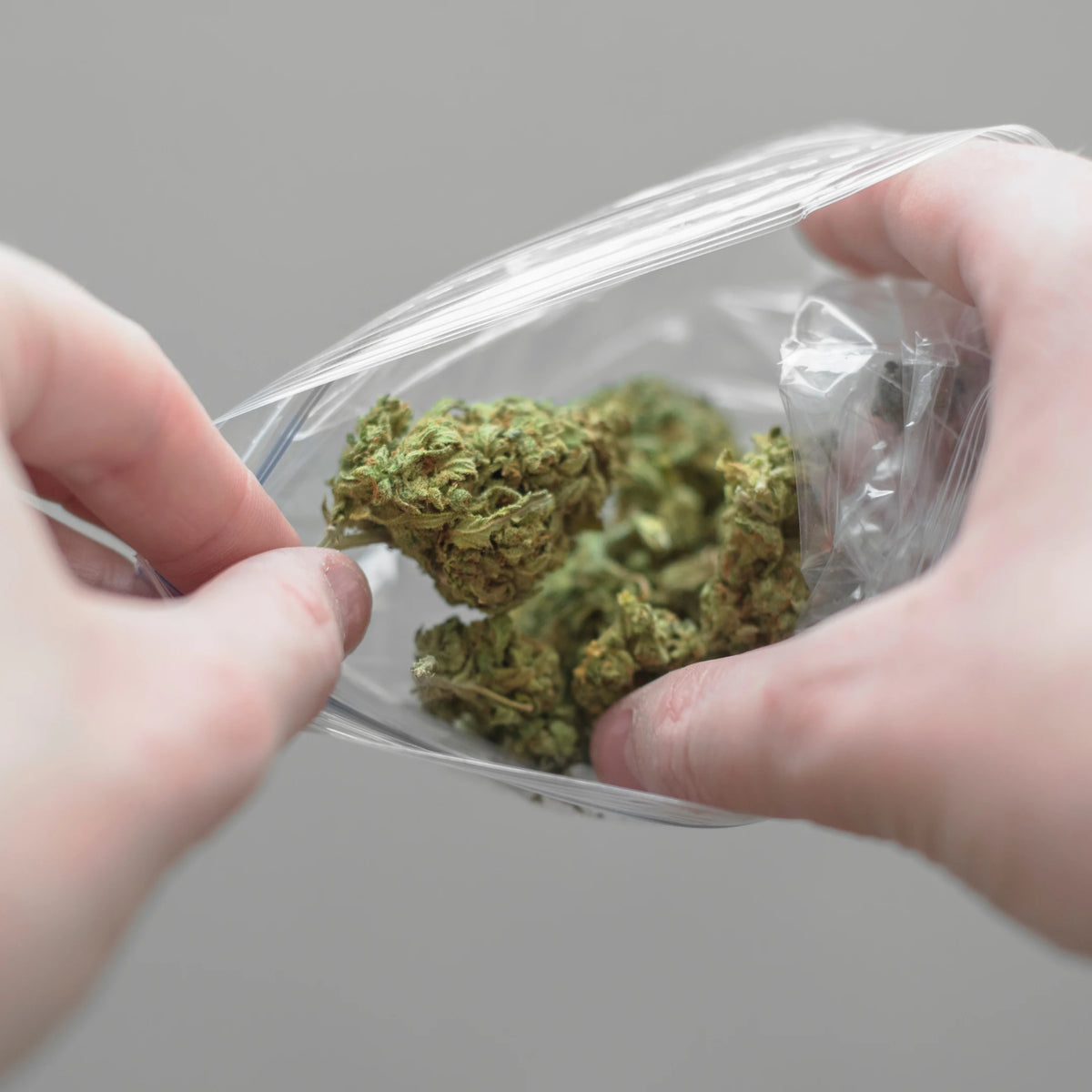 Persona utilizando una bolsa ZIP transparente con autocierre para almacenar y organizar producto en Gran Canaria.