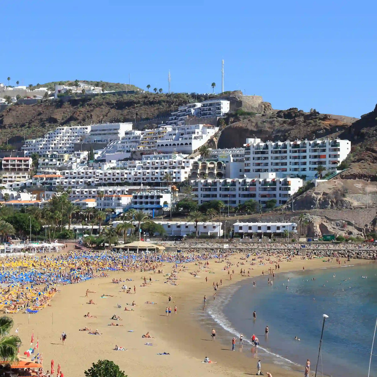 Hotel y Apartamentos con piscina, palmeras y edificios de alojamiento turístico en Gran Canaria.