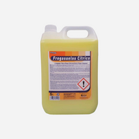 Fregasuelos Cítrico 5L.